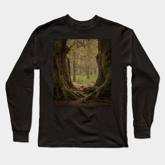 'The Witness Trees', Kinclaven Woods, Perthshire. Long Sleeve T-Shirt by mucklepawprint
